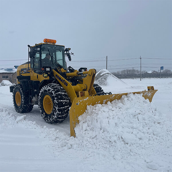 除排雪業務